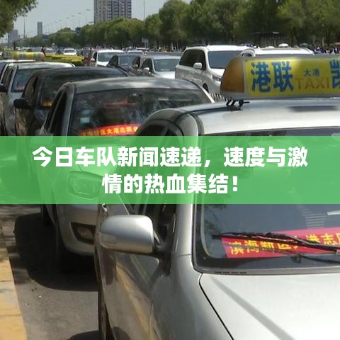 今日车队新闻速递，速度与激情的热血集结！