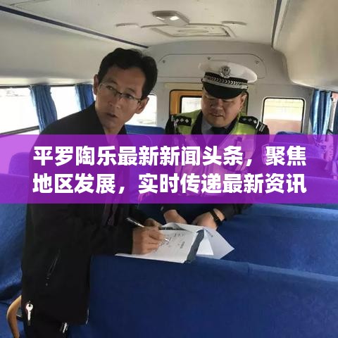 平罗陶乐最新新闻头条，聚焦地区发展，实时传递最新资讯