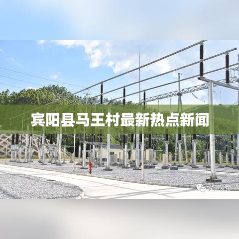 宾阳县马王村最新热点新闻