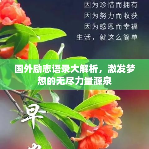 国外励志语录大解析，激发梦想的无尽力量源泉