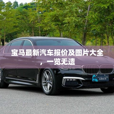宝马最新汽车报价及图片大全，一览无遗