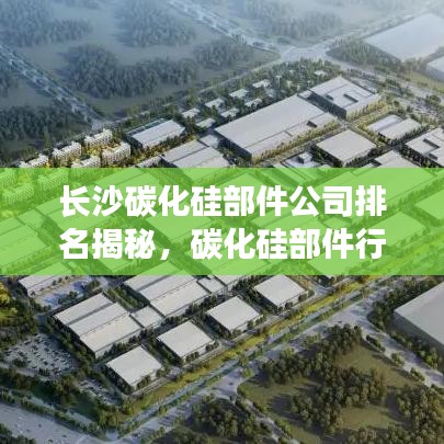 长沙碳化硅部件公司排名揭秘，碳化硅部件行业的领跑者解读
