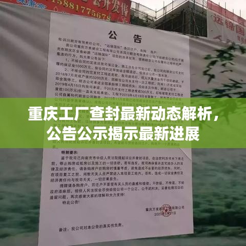 重庆工厂查封最新动态解析，公告公示揭示最新进展