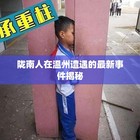 陇南人在温州遭遇的最新事件揭秘