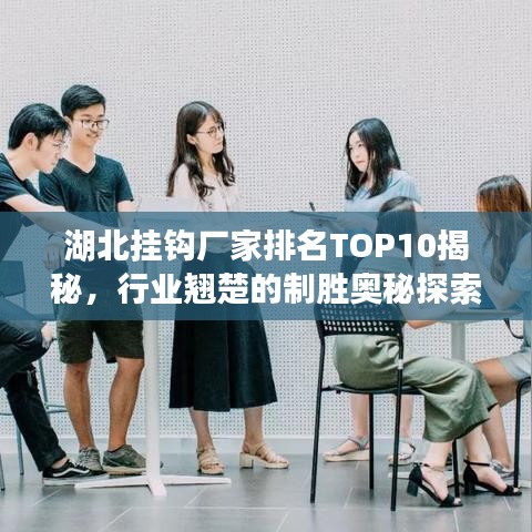湖北挂钩厂家排名TOP10揭秘，行业翘楚的制胜奥秘探索