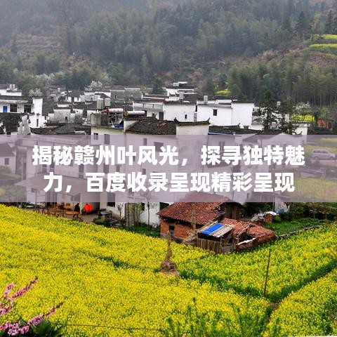 揭秘赣州叶风光，探寻独特魅力，百度收录呈现精彩呈现