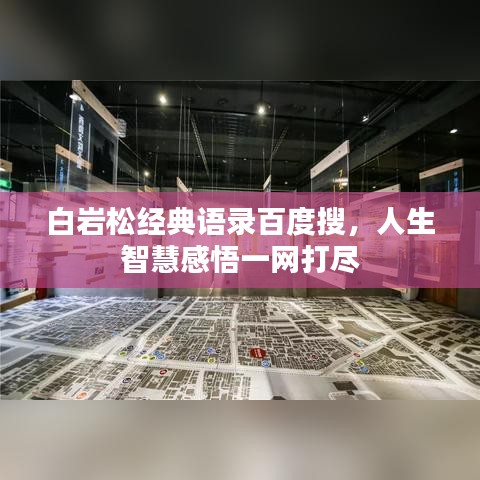 白岩松经典语录百度搜，人生智慧感悟一网打尽