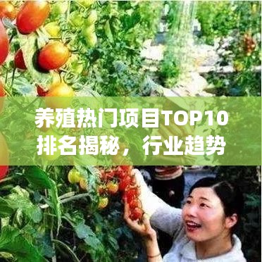 养殖热门项目TOP10排名揭秘，行业趋势与前景展望