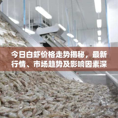 今日白虾价格走势揭秘，最新行情、市场趋势及影响因素深度解析