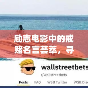 励志电影中的戒赌名言荟萃，寻找改变的力量与勇气