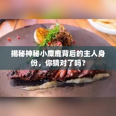 揭秘神秘小麋鹿背后的主人身份，你猜对了吗？