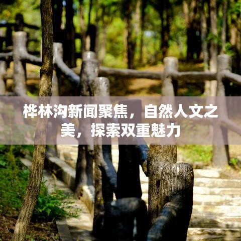 桦林沟新闻聚焦，自然人文之美，探索双重魅力