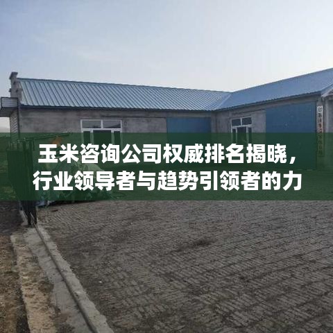 玉米咨询公司权威排名揭晓，行业领导者与趋势引领者的力量展示