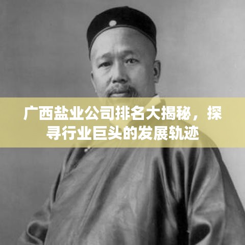广西盐业公司排名大揭秘，探寻行业巨头的发展轨迹