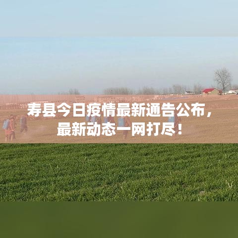 寿县今日疫情最新通告公布，最新动态一网打尽！
