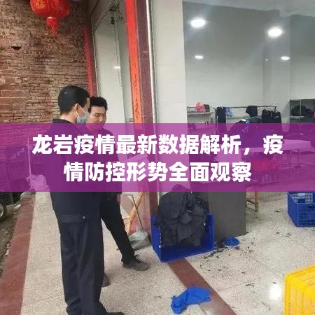 龙岩疫情最新数据解析，疫情防控形势全面观察