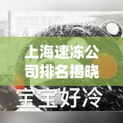 上海速冻公司排名揭晓，行业领军者的探索之旅