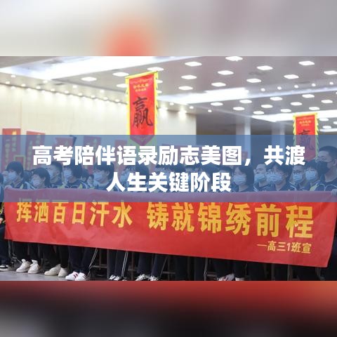 高考陪伴语录励志美图，共渡人生关键阶段
