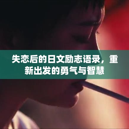 失恋后的日文励志语录，重新出发的勇气与智慧