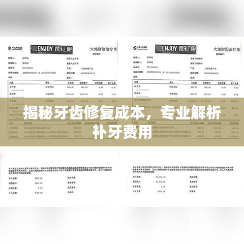 揭秘牙齿修复成本，专业解析补牙费用