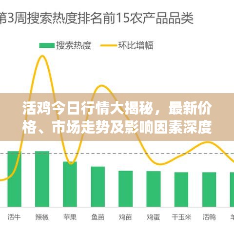 活鸡今日行情大揭秘，最新价格、市场走势及影响因素深度解析