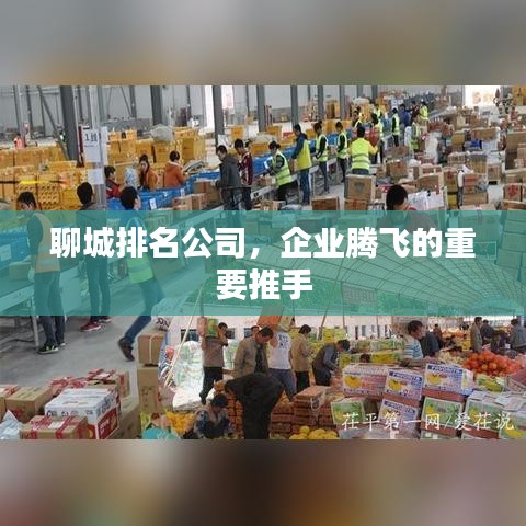 聊城排名公司，企业腾飞的重要推手