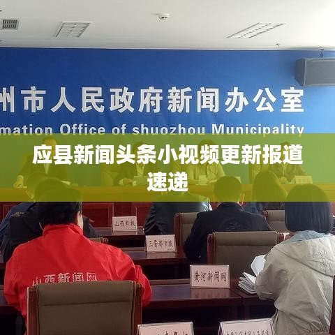 应县新闻头条小视频更新报道速递