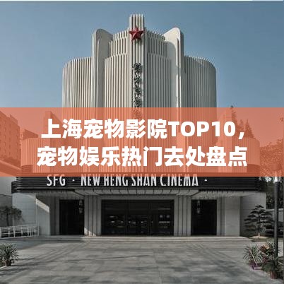 上海宠物影院TOP10，宠物娱乐热门去处盘点