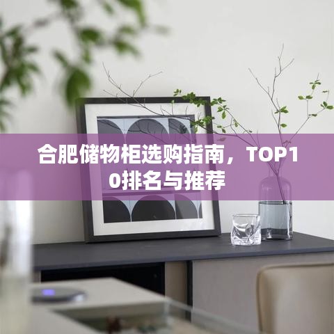 合肥储物柜选购指南，TOP10排名与推荐