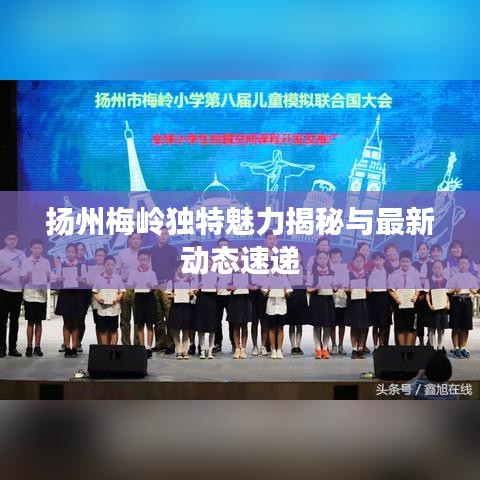 扬州梅岭独特魅力揭秘与最新动态速递
