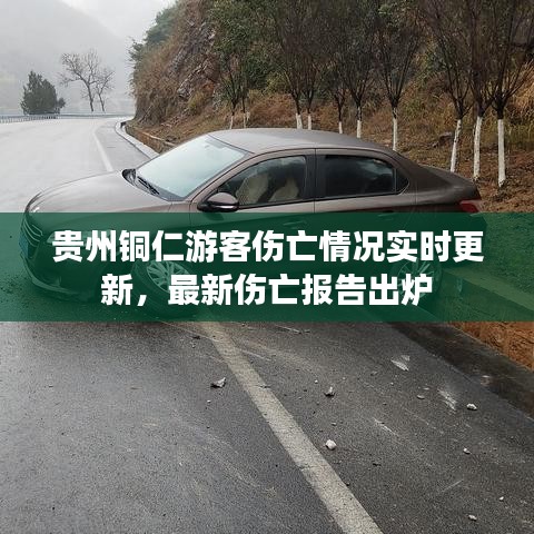 贵州铜仁游客伤亡情况实时更新，最新伤亡报告出炉