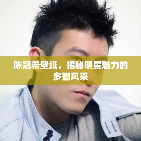 陈冠希壁纸，揭秘明星魅力的多面风采