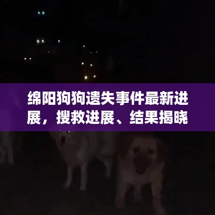 绵阳狗狗遗失事件最新进展，搜救进展、结果揭晓