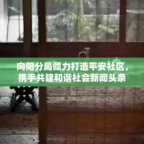 向阳分局倾力打造平安社区，携手共建和谐社会新闻头条