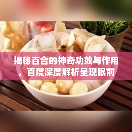揭秘百合的神奇功效与作用，百度深度解析呈现眼前