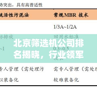 北京筛选机公司排名揭晓，行业领军者的成功秘诀深度解读
