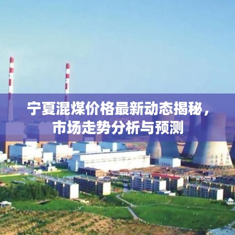 宁夏混煤价格最新动态揭秘，市场走势分析与预测