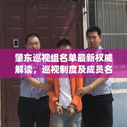肇东巡视组名单最新权威解读，巡视制度及成员名单全解析