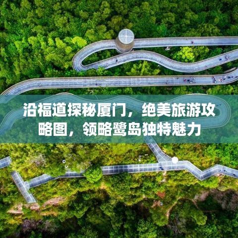 沿福道探秘厦门，绝美旅游攻略图，领略鹭岛独特魅力