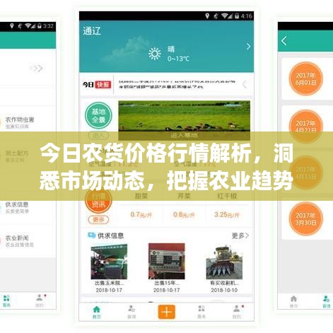 今日农货价格行情解析，洞悉市场动态，把握农业趋势发展
