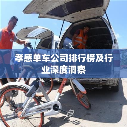 孝感单车公司排行榜及行业深度洞察
