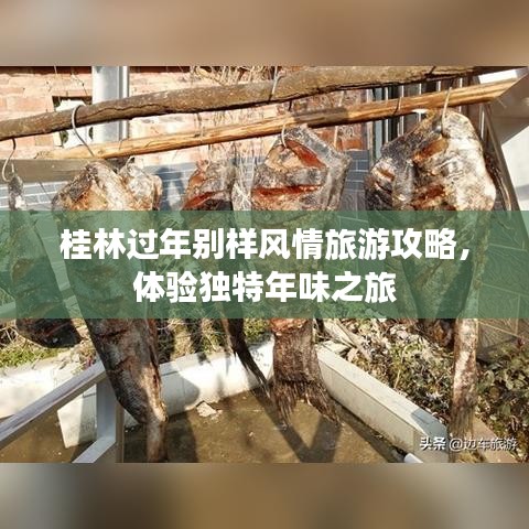 桂林过年别样风情旅游攻略，体验独特年味之旅