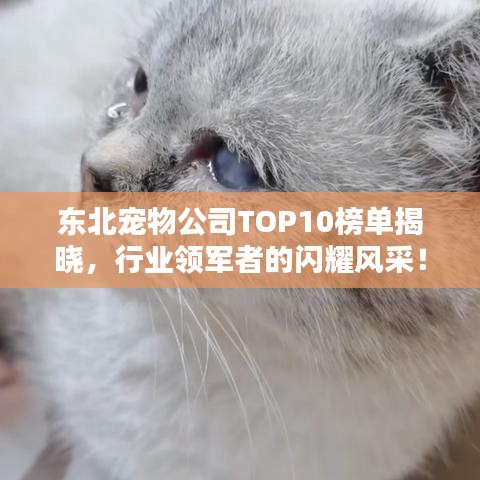 2025年6月21日 第16页