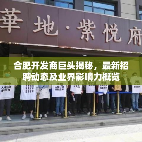 合肥开发商巨头揭秘，最新招聘动态及业界影响力概览