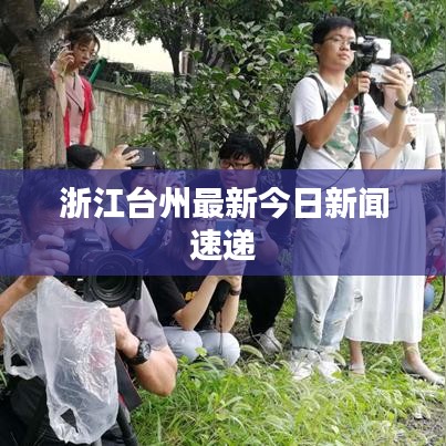 浙江台州最新今日新闻速递