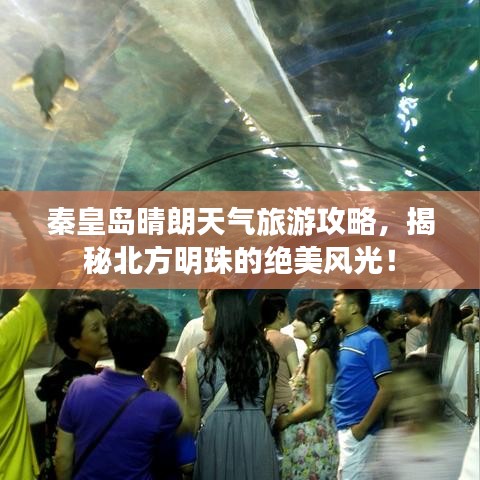 秦皇岛晴朗天气旅游攻略，揭秘北方明珠的绝美风光！