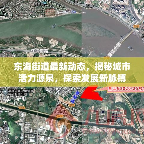 东海街道最新动态，揭秘城市活力源泉，探索发展新脉搏