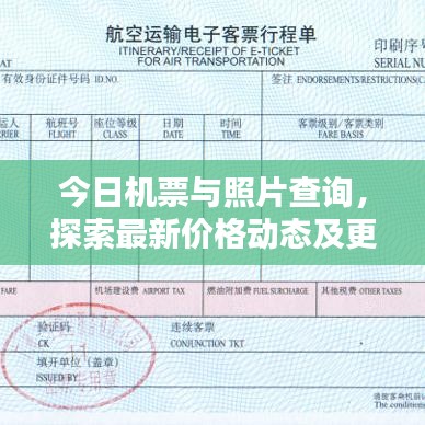 今日机票与照片查询，探索最新价格动态及更多优惠信息