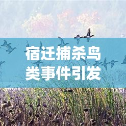 宿迁捕杀鸟类事件引发社会热议，最新新闻头条曝光！