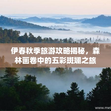 伊春秋季旅游攻略揭秘，森林画卷中的五彩斑斓之旅